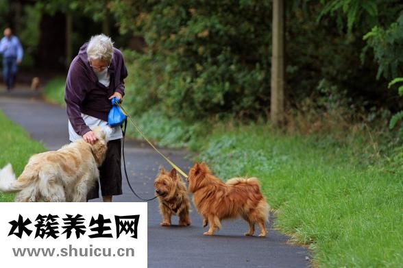 外陰瘙癢怎么治療