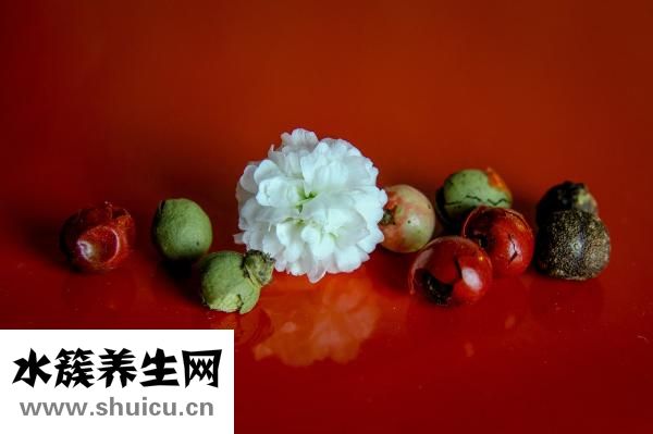 早餐吃什么比較好