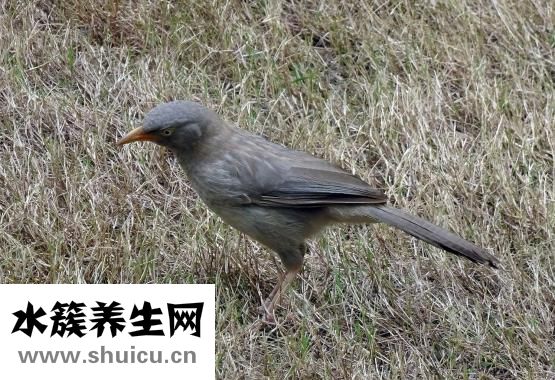 掃一掃臉型配眉形