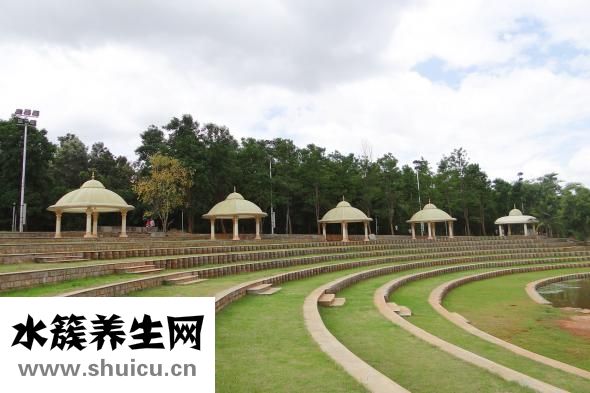 川芎茶調(diào)顆粒