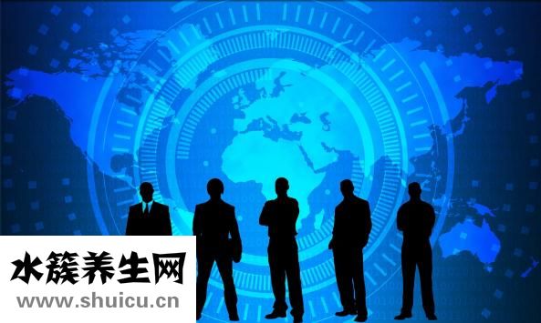 山藥粉的功效與作用