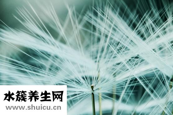 幽門(mén)螺旋桿菌試紙