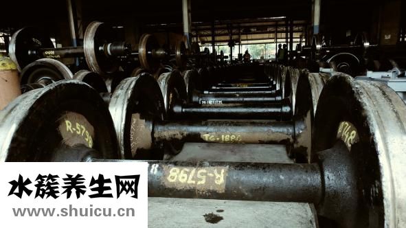 無器械練肱二頭肌