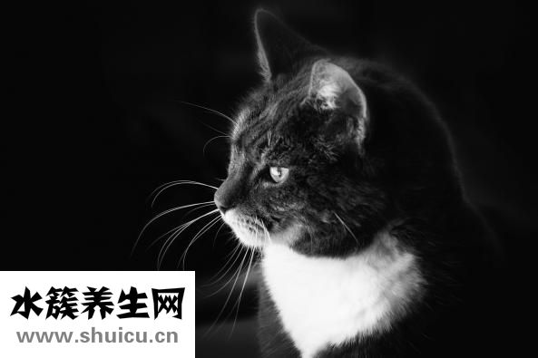 戒奶有什么方法最快