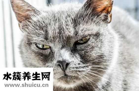 心理變態(tài)的表現(xiàn)癥狀