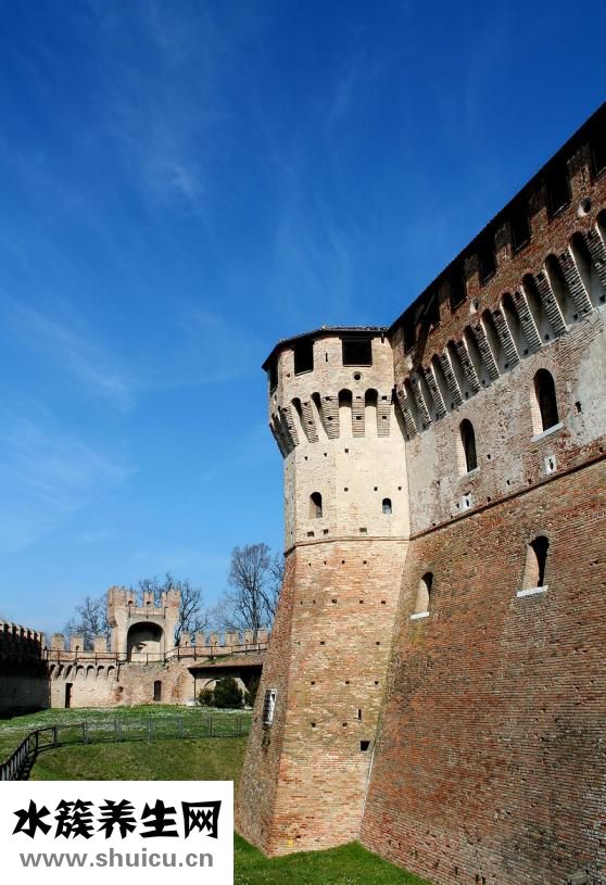 依達拉奉說明書