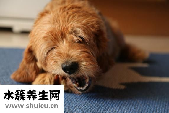 怎么消除身上的臭味