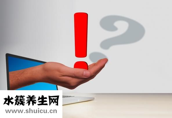 掌中寶是什么部位