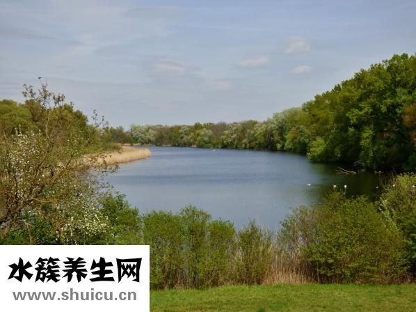 手長(zhǎng)老年斑