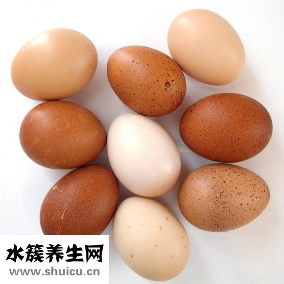 怎么看雞蛋壞沒壞