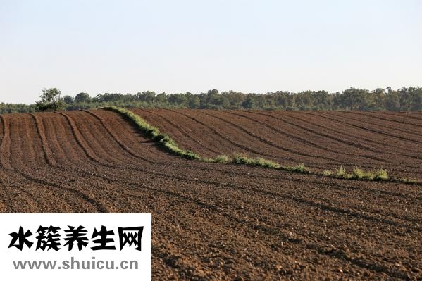 無骨雞爪怎么去骨