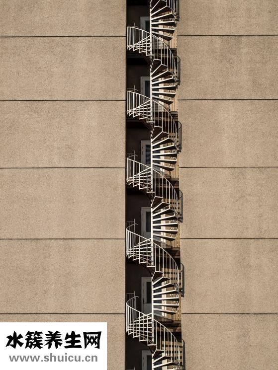 孕婦補血吃什么好