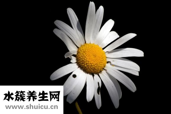 血糖高有什么危險