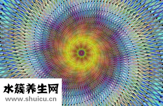 孕婦補血吃什么好