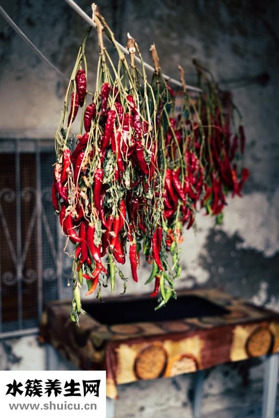 兔肉的做法大全