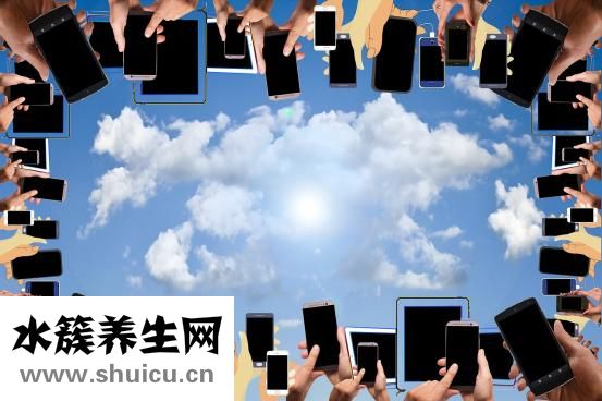 十大保護聲帶食物