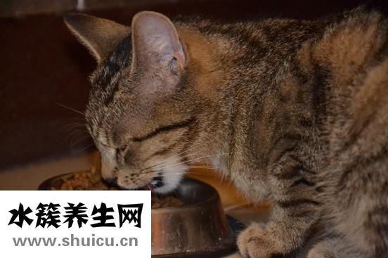 豌豆的營養價值