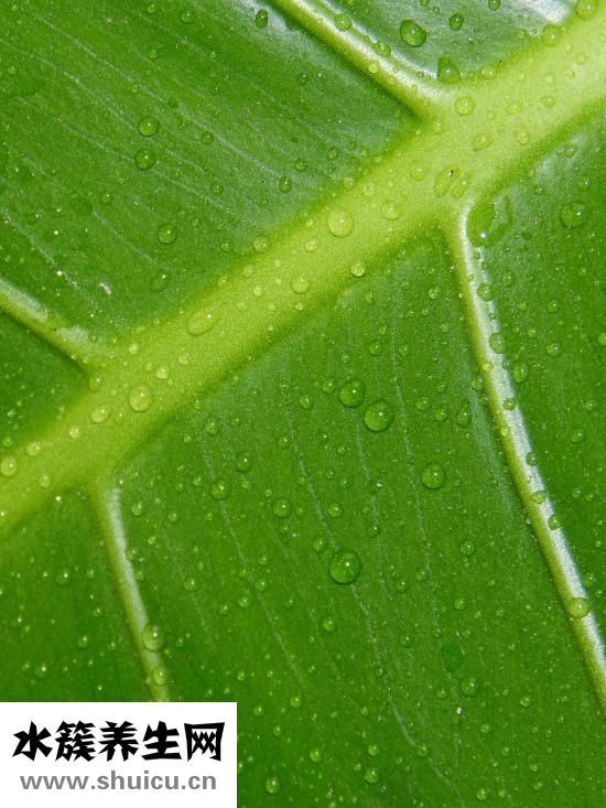 燥起來(lái)是什么意思