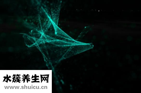 腿酸脹痛是什么原因