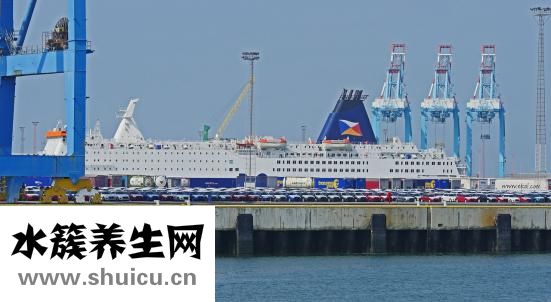 輸血前八項指什么