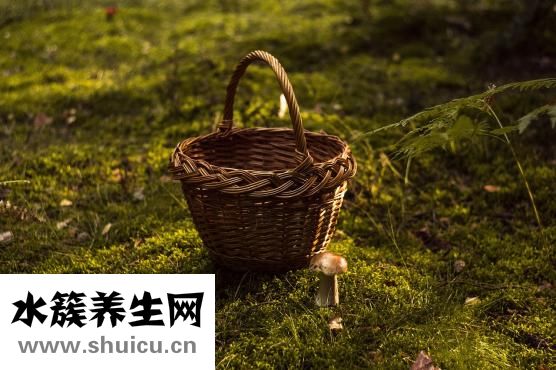 生山藥可以吃嗎