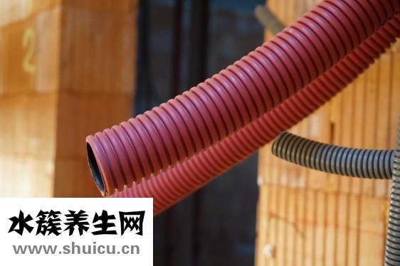 玫瑰花茶的泡法