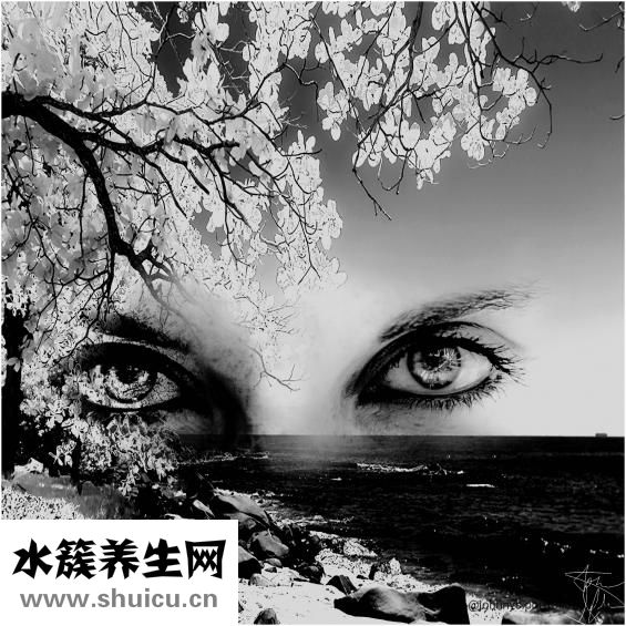 眼皮下垂了該怎么辦