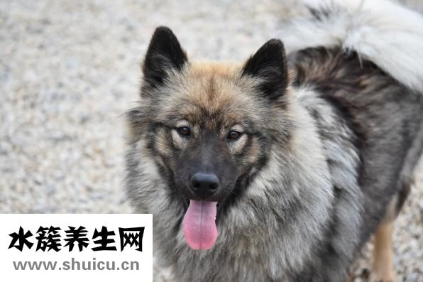 舌頭上長泡怎么辦