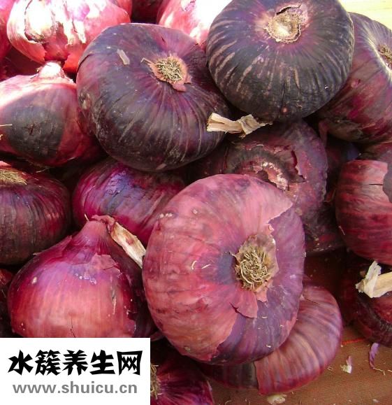 魷魚炒洋蔥的做法