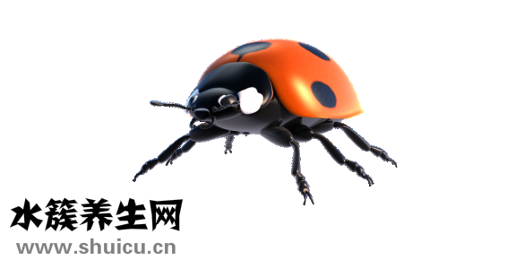 眼白上有黑點(diǎn)