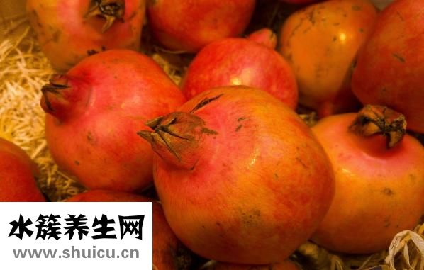 天然植物染發劑