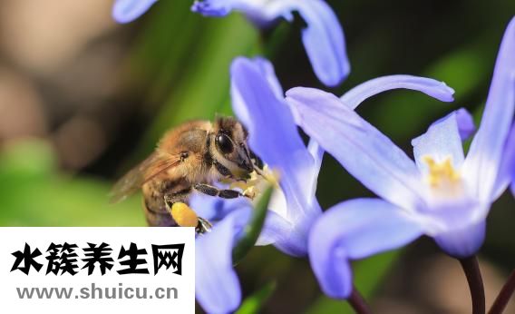 身上發(fā)冷是什么原因