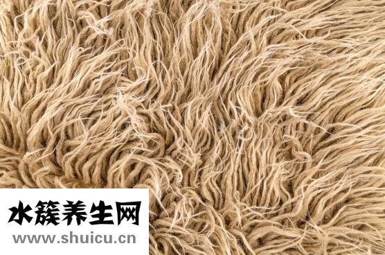 生蠔什么樣的好