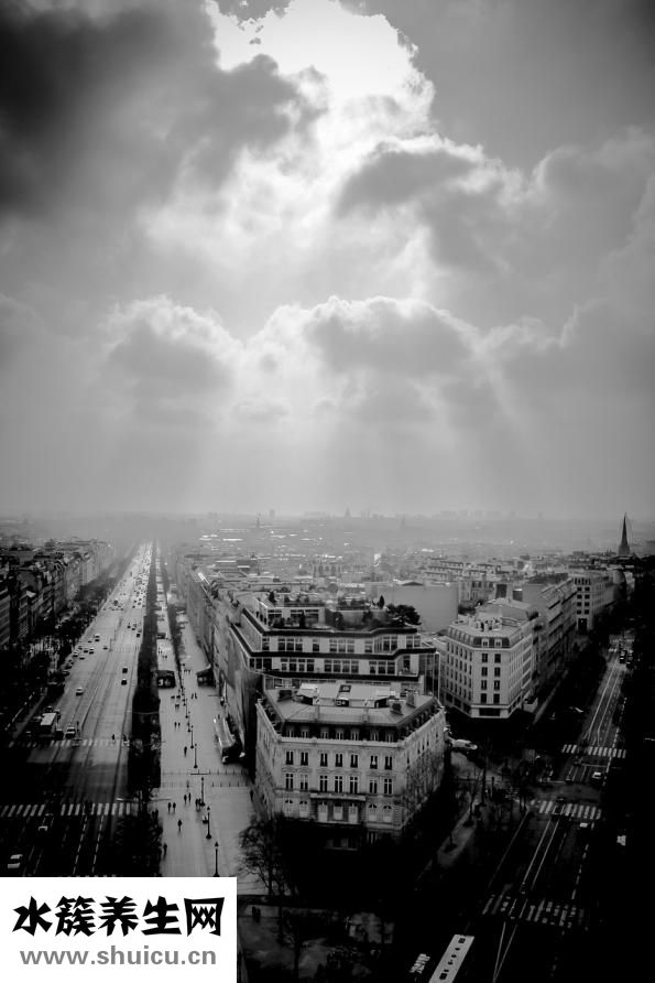 淋巴在哪個位置圖片