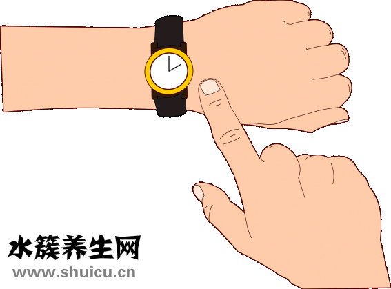 杏鮑菇煮多久可以熟