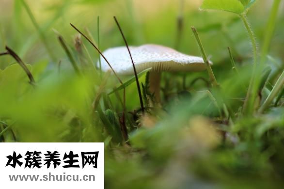 痦子和痣的區別