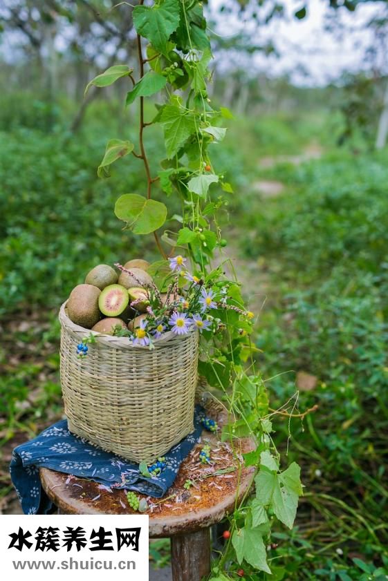 硬的獼猴桃能吃嗎