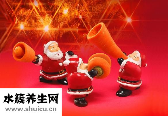 鴨湯怎么燉好喝