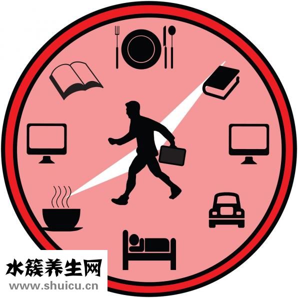 蒜茄子的腌制方法