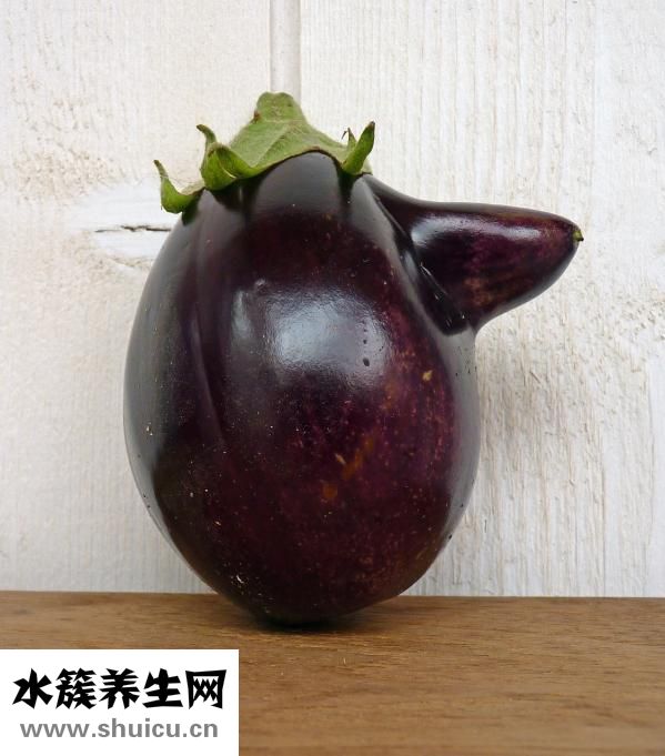 蒜茄子的腌制方法