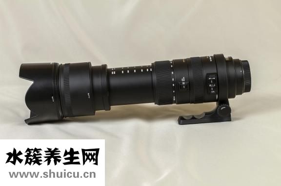 藤黃的功效與作用