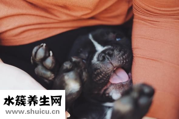 舌頭有黑點(diǎn)