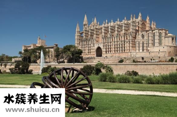 頭皮發癢怎么治療