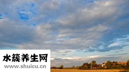 跳繩想尿怎么回事