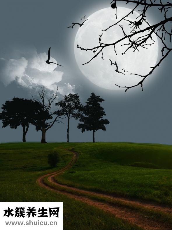 一碗小米粥的熱量