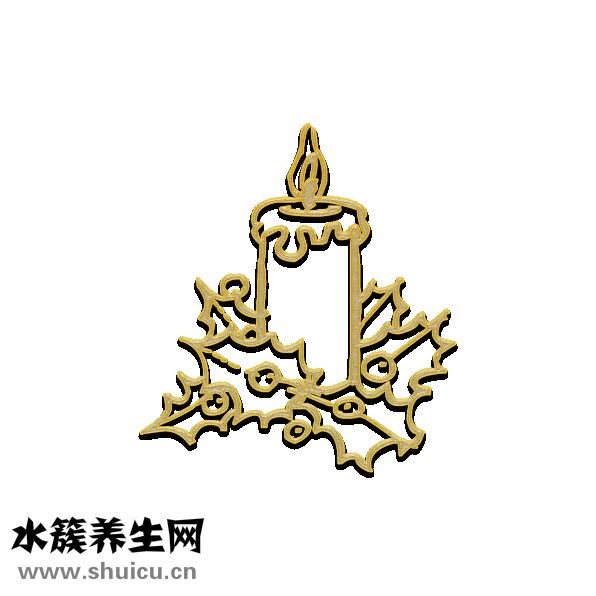 燕窩真假怎么分辨