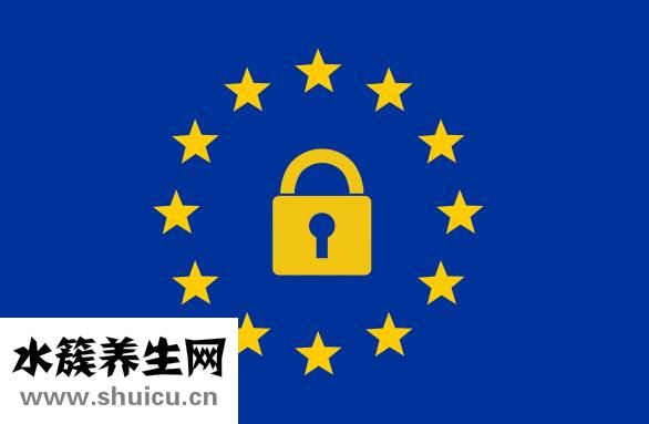 腎虛吃什么藥好