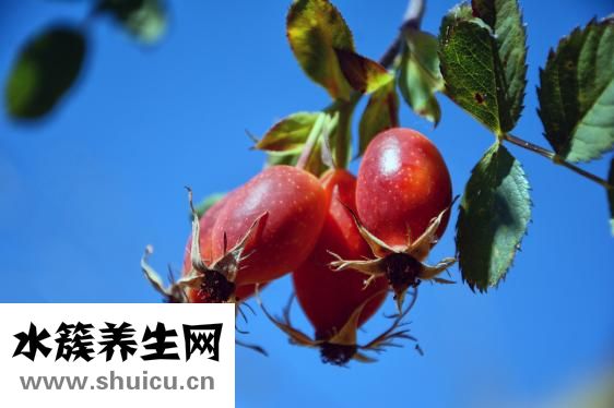 腿沒勁是什么原因