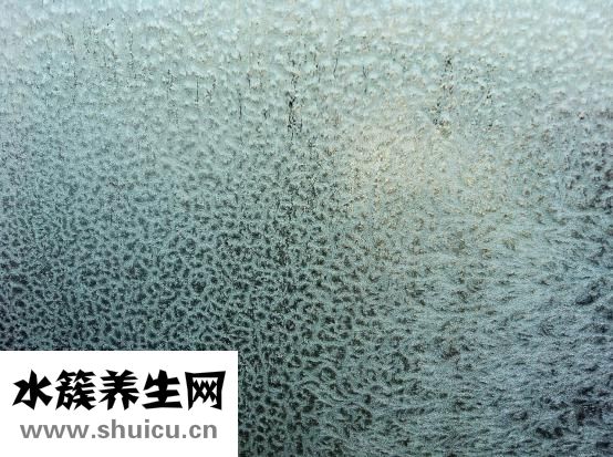 透明質(zhì)酸是什么