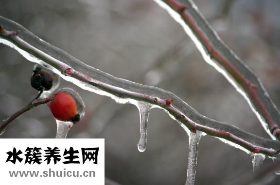 水果超市保鮮柜